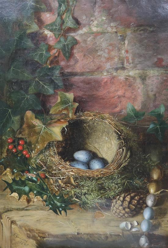 F. Goddard, oil on canvas, study of a birds nest, 40 x 29cm